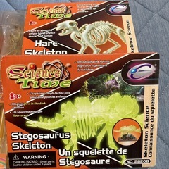 恐竜 お箸 ストロー付きタンブラー 模型の画像