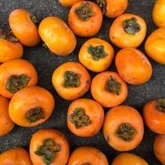 渋柿もらってくださいの画像