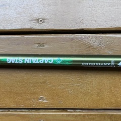 トレッキングポール②の画像