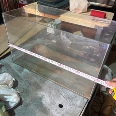 全面ガラス水槽の画像