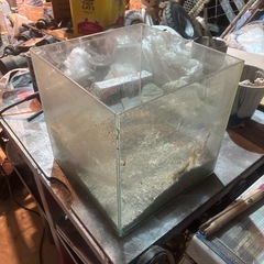 全面ガラス水槽の画像
