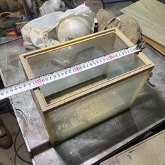 全面ガラス水槽の画像