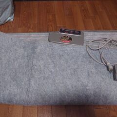 3畳用ホットカーペット 配達可の画像
