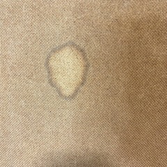 【在庫残り1点】KATOJI 木製 ミニタチベッド ホワイトの画像