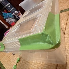 大きい虫かごの画像