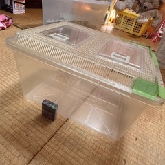 大きい虫かごの画像