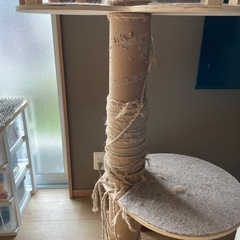 キャットタワーの画像