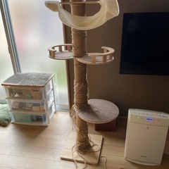 キャットタワーの画像
