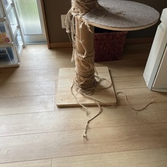 キャットタワーの画像