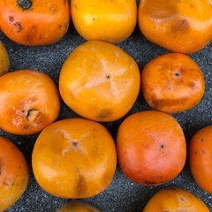 渋柿もらってくださいの画像