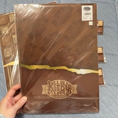 カービィ キーホルダー ダブルポケットクリアファイルの画像