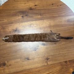 未使用　リアルファー☆テン☆毛皮　襟巻き★辻堂まで！の画像