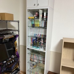 【11/27】コレクションケース　トールタイプの画像