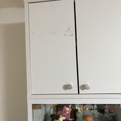 【11/27】コレクションケース　トールタイプの画像