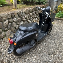 af61 トゥデイ　実働の画像