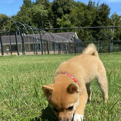 【YouTube仲間＆活動メンバー募集】