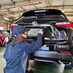 【ガッツリ稼ぎたい方】【シフト自由】【港区】【普通免許のみ可】中古車輸送のお仕事の画像