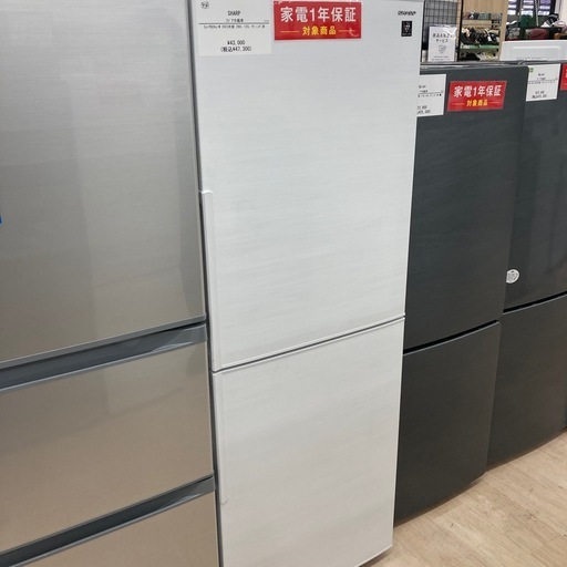 【家電一年保証付き】SHARPの2ドア冷蔵庫のご紹介です！