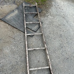 12段アルミはしごの画像