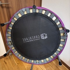 トランポリン大人用、子供にもの画像