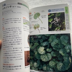 山菜採りの教科書の画像