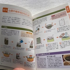 山菜採りの教科書の画像