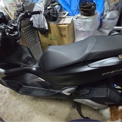 ホンダ PCXFJ81の画像