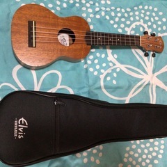 ウクレレの画像