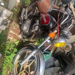 gsx250l   GS仕様
の画像