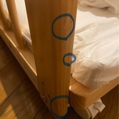 大和屋 そいねーる ラージの画像