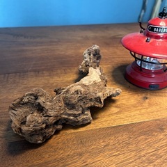 20 ボコボコ…流木…天然物、インテリア、オブジェの画像