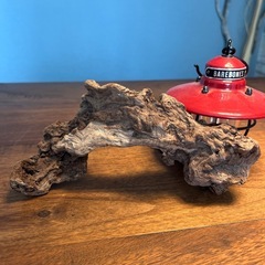20 ボコボコ…流木…天然物、インテリア、オブジェの画像