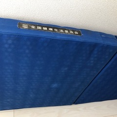 最小タイプ ヘルスウェーブゴールド 業務用195×75×9子供用　　の画像