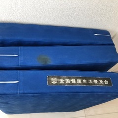 最小タイプ ヘルスウェーブゴールド 業務用195×75×9子供用　　の画像