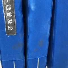 最小タイプ ヘルスウェーブゴールド 業務用195×75×9子供用　　の画像