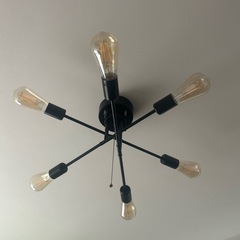 シーリングライト　ブラック6灯（電球別）の画像