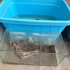 引取り限定　差し上げますの画像