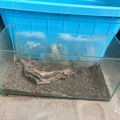 引取り限定　差し上げますの画像