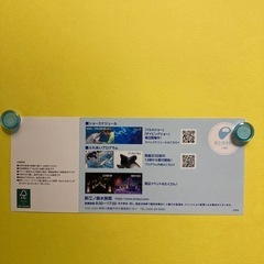 新江ノ島水族館招待券・2枚の画像