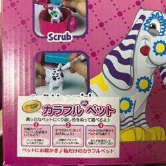 【お取引決まりました】カラフルペットの画像