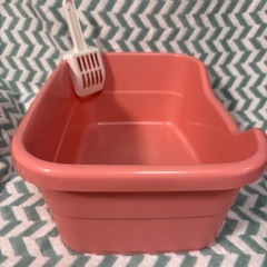 子猫用トイレ　の画像