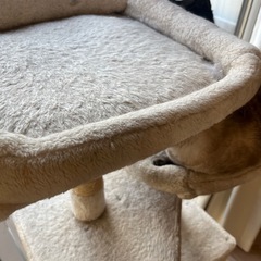 【決まりました】の画像