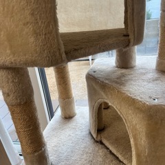 【決まりました】の画像