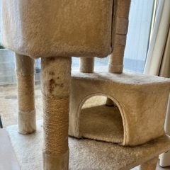 【決まりました】の画像