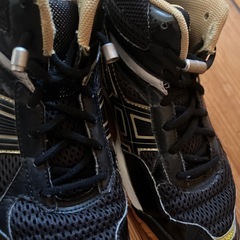 ASICS バレーシューズ ブラック/ゴールド　23.5の画像