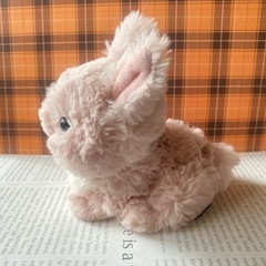 サンレモン うさぎぬいぐるみ S Lapinou ネザーランドドワーフの画像