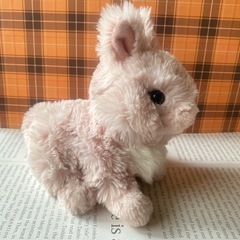 サンレモン うさぎぬいぐるみ S Lapinou ネザーランドドワーフの画像