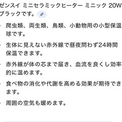 爬虫類などの画像