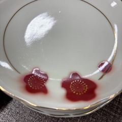 梅の花　お皿10枚の画像