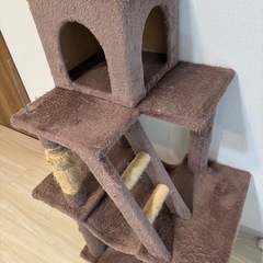 無料　訳あり　キャットタワー　の画像
